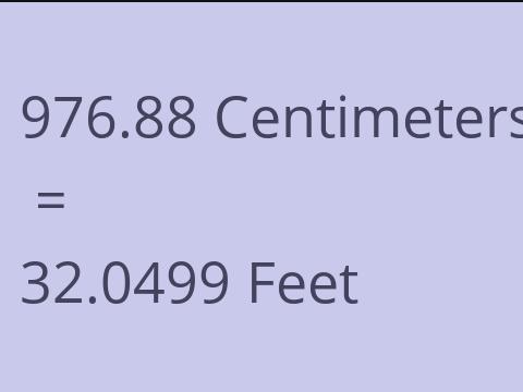 976.88 CM TO FEET