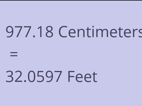 977.18 CM TO FEET