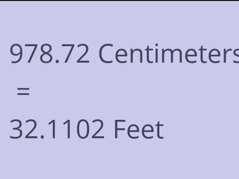 978.72 CM TO FEET