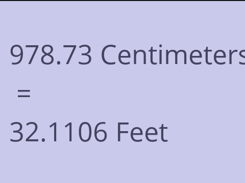 978.73 CM TO FEET