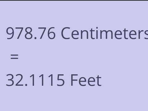 978.76 CM TO FEET