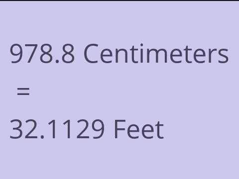 978.8 CM TO FEET