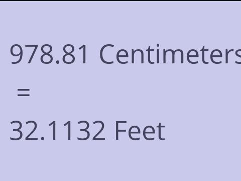 978.81 CM TO FEET