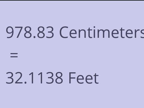 978.83 CM TO FEET