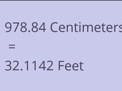 978.84 CM TO FEET