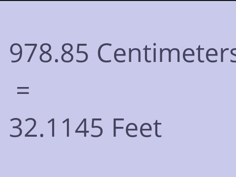 978.85 CM TO FEET