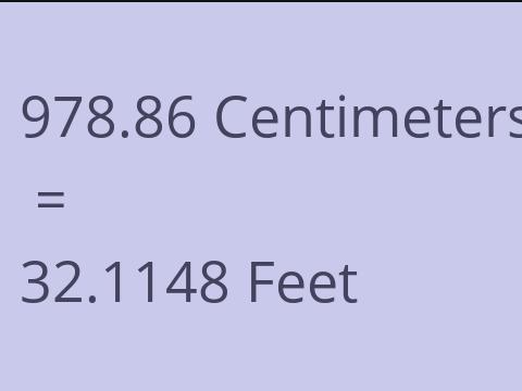 978.86 CM TO FEET