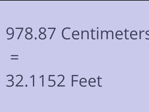 978.87 CM TO FEET