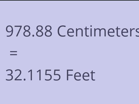 978.88 CM TO FEET