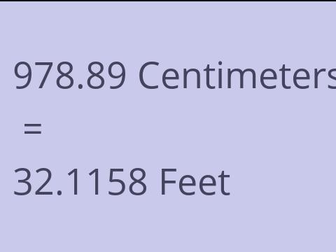 978.89 CM TO FEET