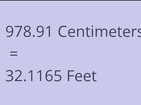 978.91 CM TO FEET