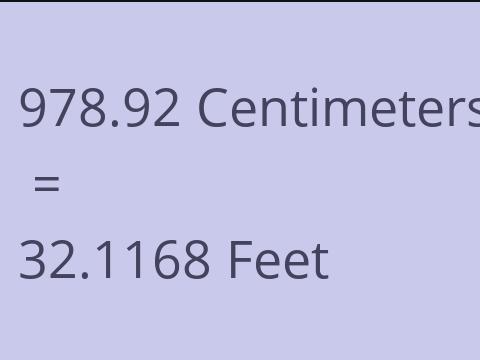 978.92 CM TO FEET