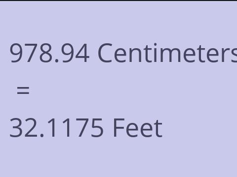 978.94 CM TO FEET