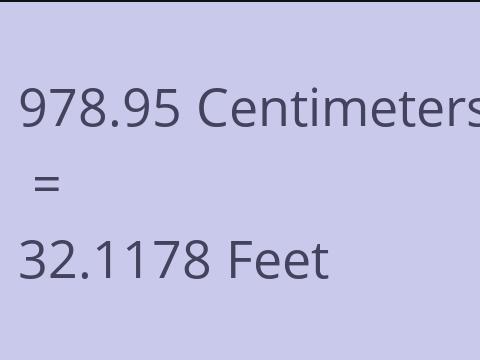 978.95 CM TO FEET