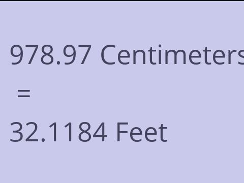 978.97 CM TO FEET