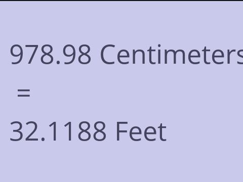 978.98 CM TO FEET