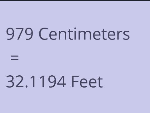 979 CM TO FEET