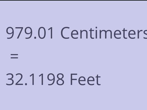 979.01 CM TO FEET