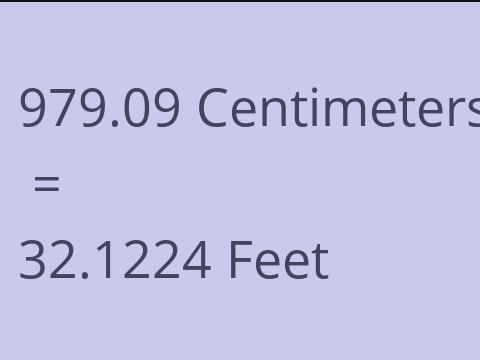 979.09 CM TO FEET