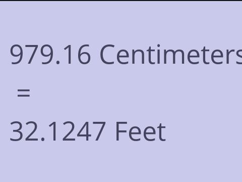 979.16 CM TO FEET