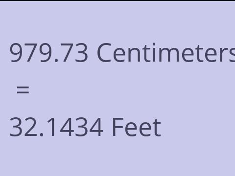 979.73 CM TO FEET