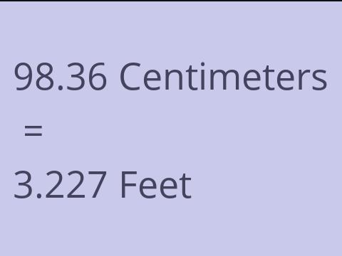 98.36 CM TO FEET