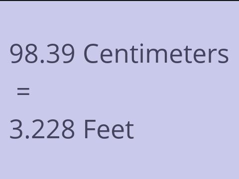 98.39 CM TO FEET