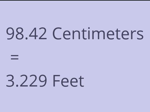 98.42 CM TO FEET