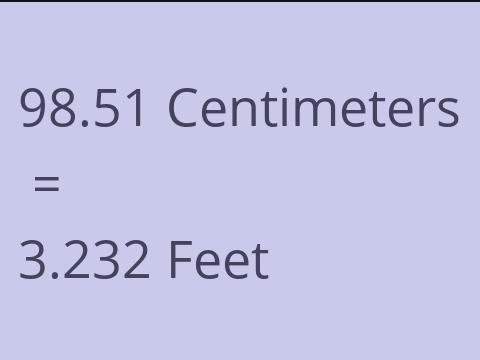 98.51 CM TO FEET