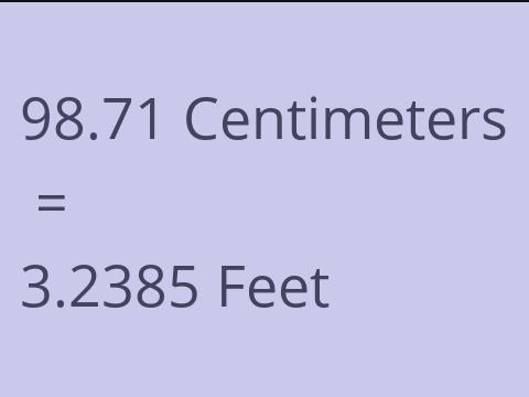 98.71 CM TO FEET