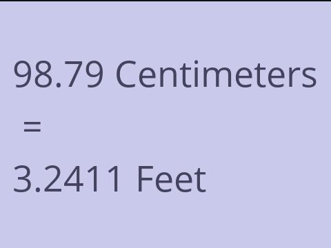 98.79 CM TO FEET