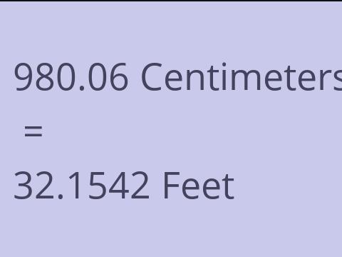 980.06 CM TO FEET