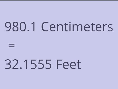 980.1 CM TO FEET