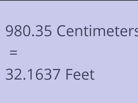 980.35 CM TO FEET