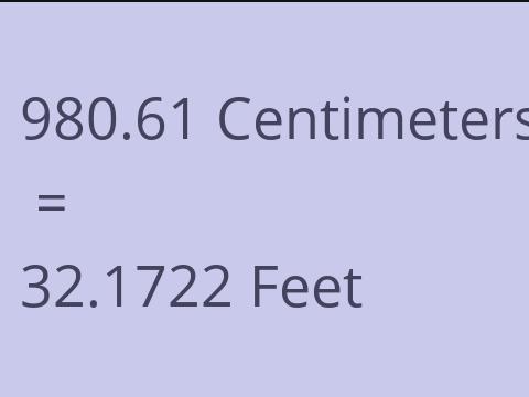 980.61 CM TO FEET