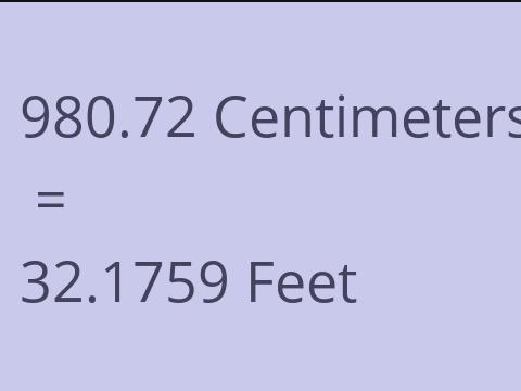 980.72 CM TO FEET