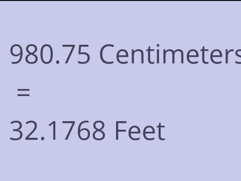 980.75 CM TO FEET