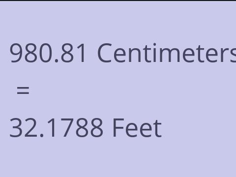 980.81 CM TO FEET