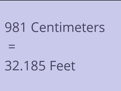 981 CM TO FEET