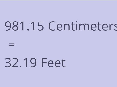 981.15 CM TO FEET