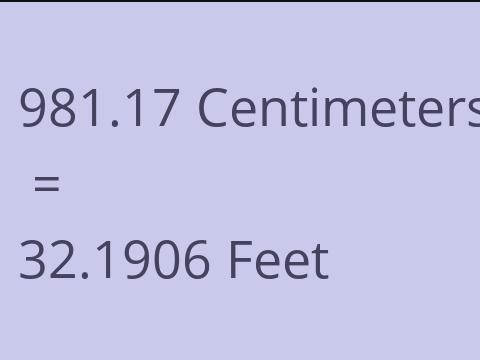 981.17 CM TO FEET