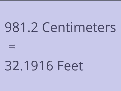 981.2 CM TO FEET