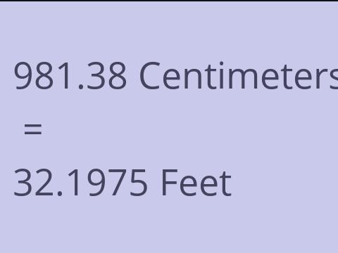 981.38 CM TO FEET