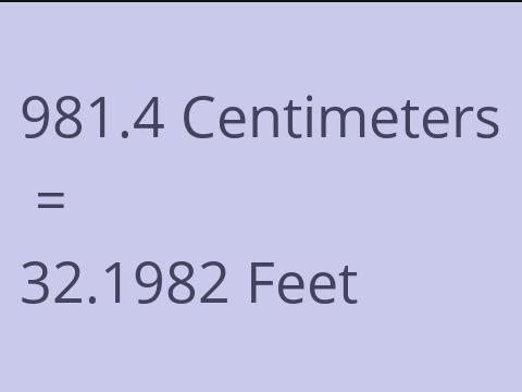 981.4 CM TO FEET