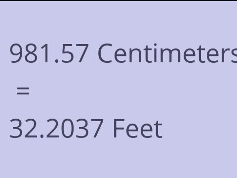 981.57 CM TO FEET