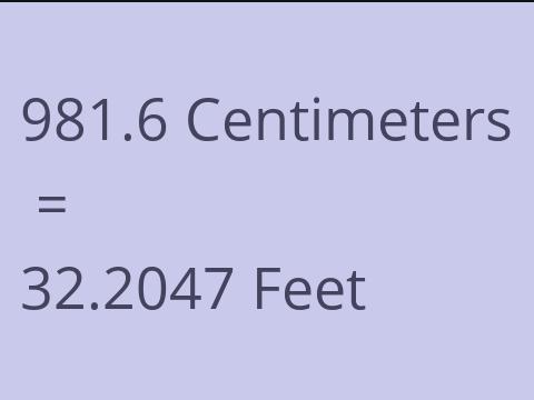 981.6 CM TO FEET