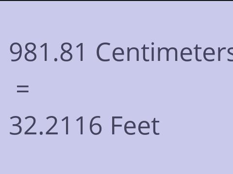 981.81 CM TO FEET