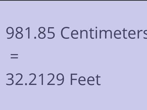 981.85 CM TO FEET