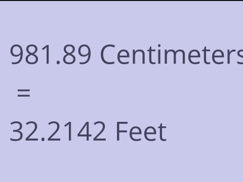 981.89 CM TO FEET