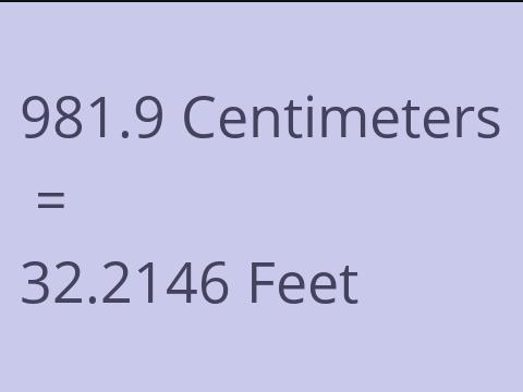 981.9 CM TO FEET